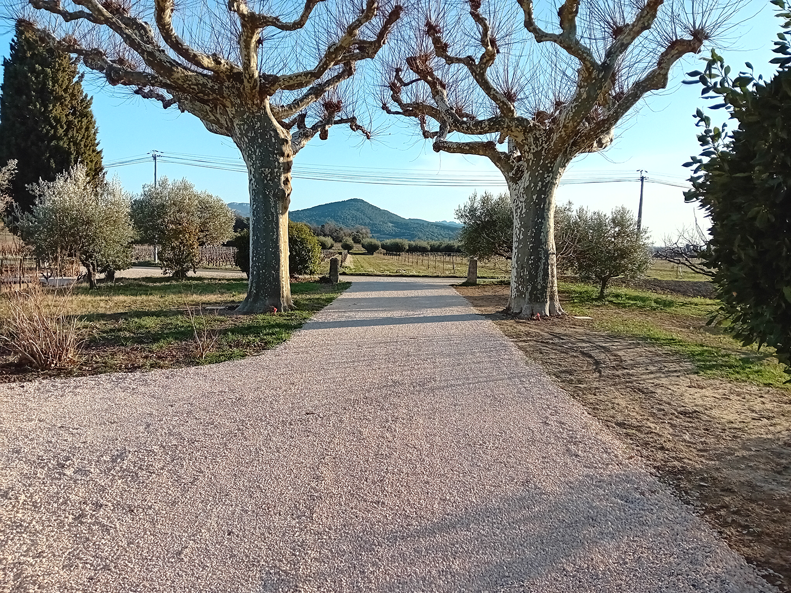 Réalisation d'une allée d'entrée d'une propriété - Aménagement paysager GUILLAUME TP - Vaison-la-Romaine