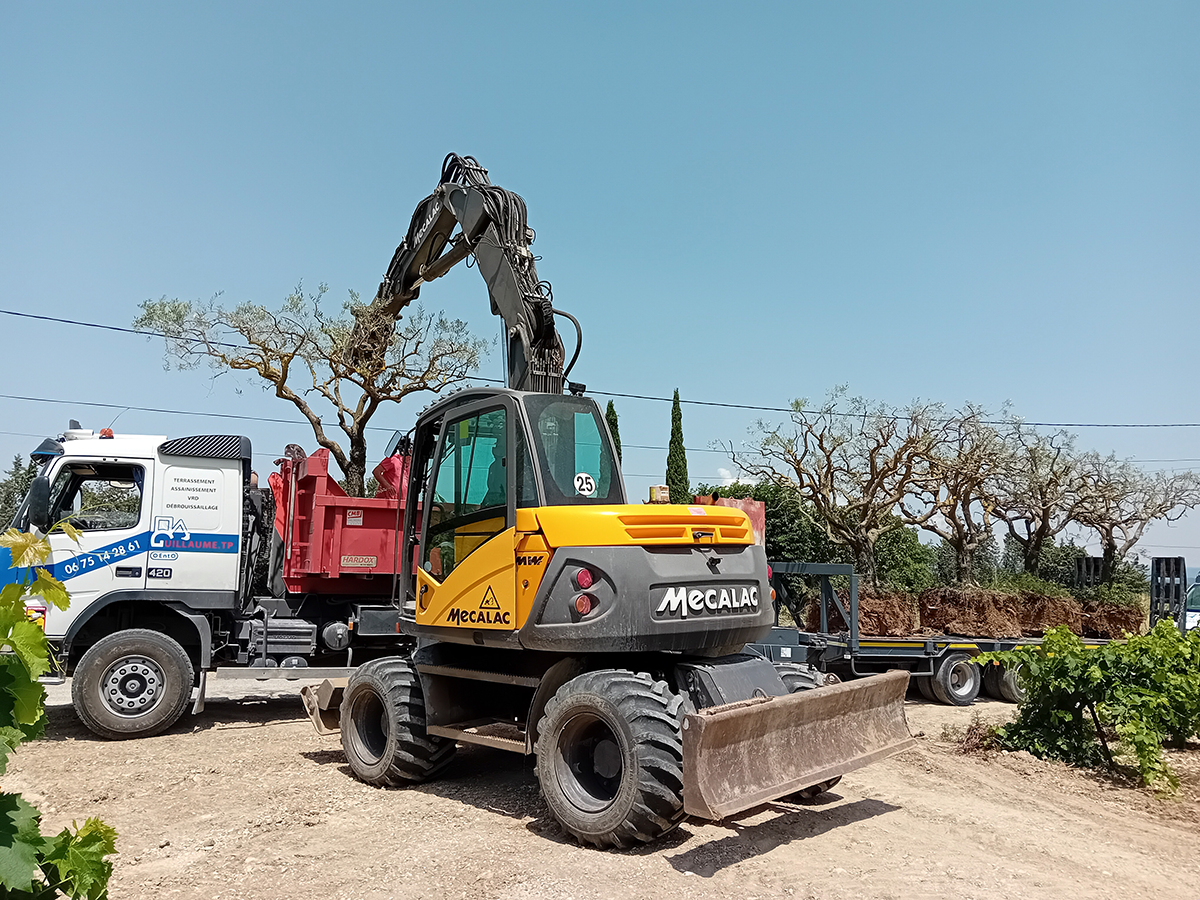 Équipement - Terrassement, Enrochement, Aménagement paysager, Assainissement VDR, Démolition, Débroussaillage - Transport d'un olivier pour transplantation lors de l'aménagement paysager réalisé par GUILLAUME TP - Vaison-la-Romaine