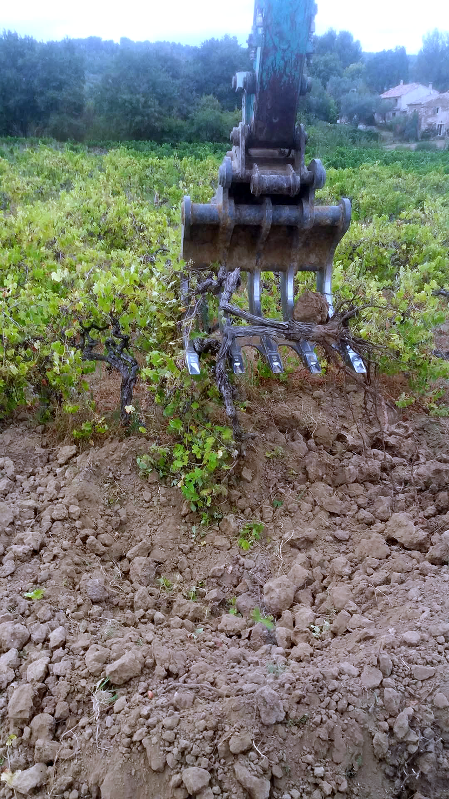 Godet griffes pour arrachage de vignes réalisé par GUILLAUME TP de Vaison-la-Romaine