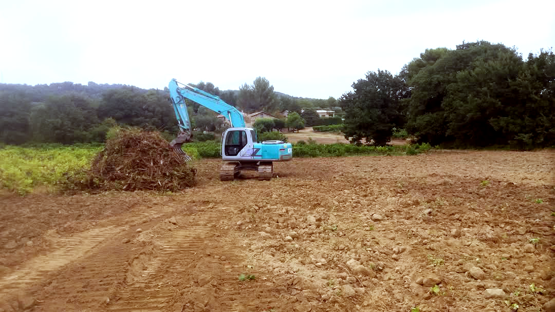Parcelle avec arrachage de vignes en cours. Ceps en tas sur la parcelle disposés par GUILLAUME TP