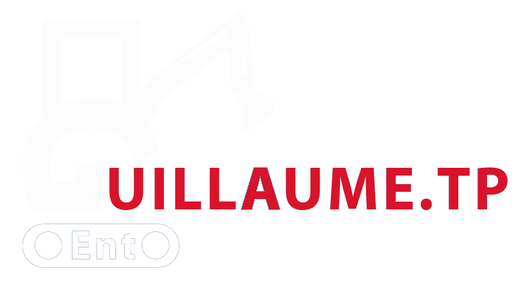 Logo complet Blanc GUILLAUME TP - Vaison-la-Romaine Nos services : Terrassement, aménagement paysager, enrochement, assainissement, débroussaillage, démolition, VRD.