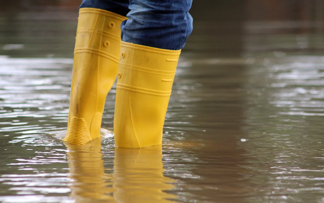 Bottes caoutchouc jaunes, image de fond d'entête de l'article Gestion des eaux de pluies - GUILLAUME TP Vaison-la-Romaine